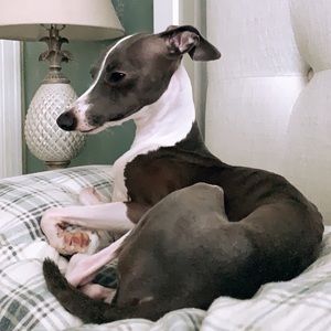 Meet your Posher, Jaclyn